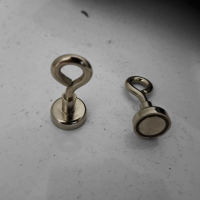 10x Ösenmagnet Magnet mit Öse Ø 20mm - Neodym  Nickel - Haftkraft 10 kg