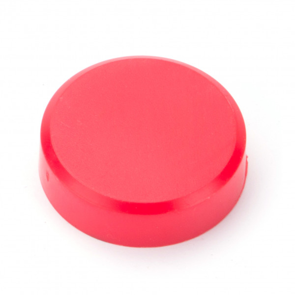 10x Pinnwand Magnete Rot D30x8 mm Haftmagnete Büro Haushalt Magnet